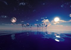 夏至