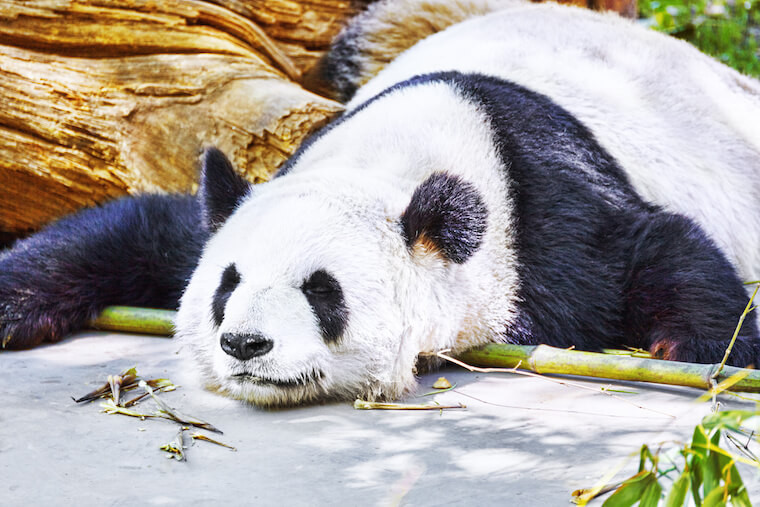 なぜ人は 面倒くさい と感じるのか タウンワークマガジン