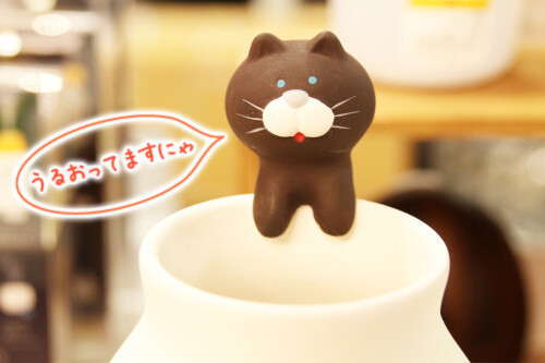 うるおってますかニャ？ 乾燥対策にこの冬イチオシの加湿器をリサーチ