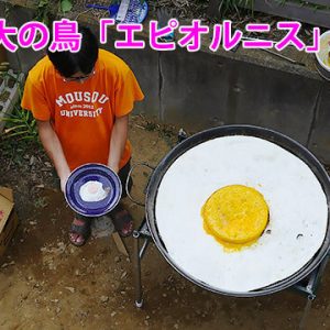 疲労回復＆防止に！】史上最大の鳥「エピオルニス」の卵で
