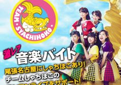 チームしゃちほこ　激レアバイト　タウンワーク