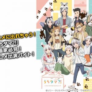 キャラとしてアニメに出られる Tvアニメ うちタマ でキャラクターとして出演できる激レアバイトが登場 タウンワークマガジン