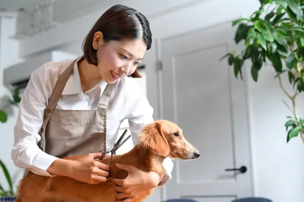 タウンワークマガジン _動物に関わる仕事13選! 資格なし、未経験でも働ける?